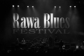 Rawa Blues Festiwal - Spodek